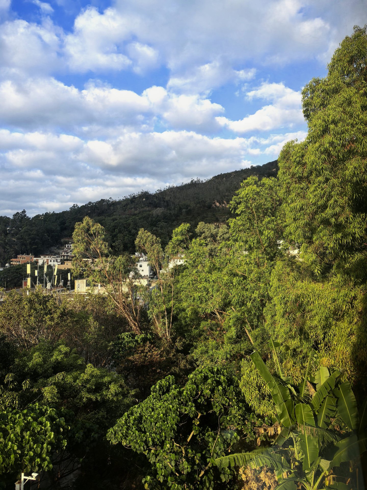 犁壁山下大鹏湾畔2房1厅精装无敌山海景观公寓拎包入住租售皆可 实拍图19